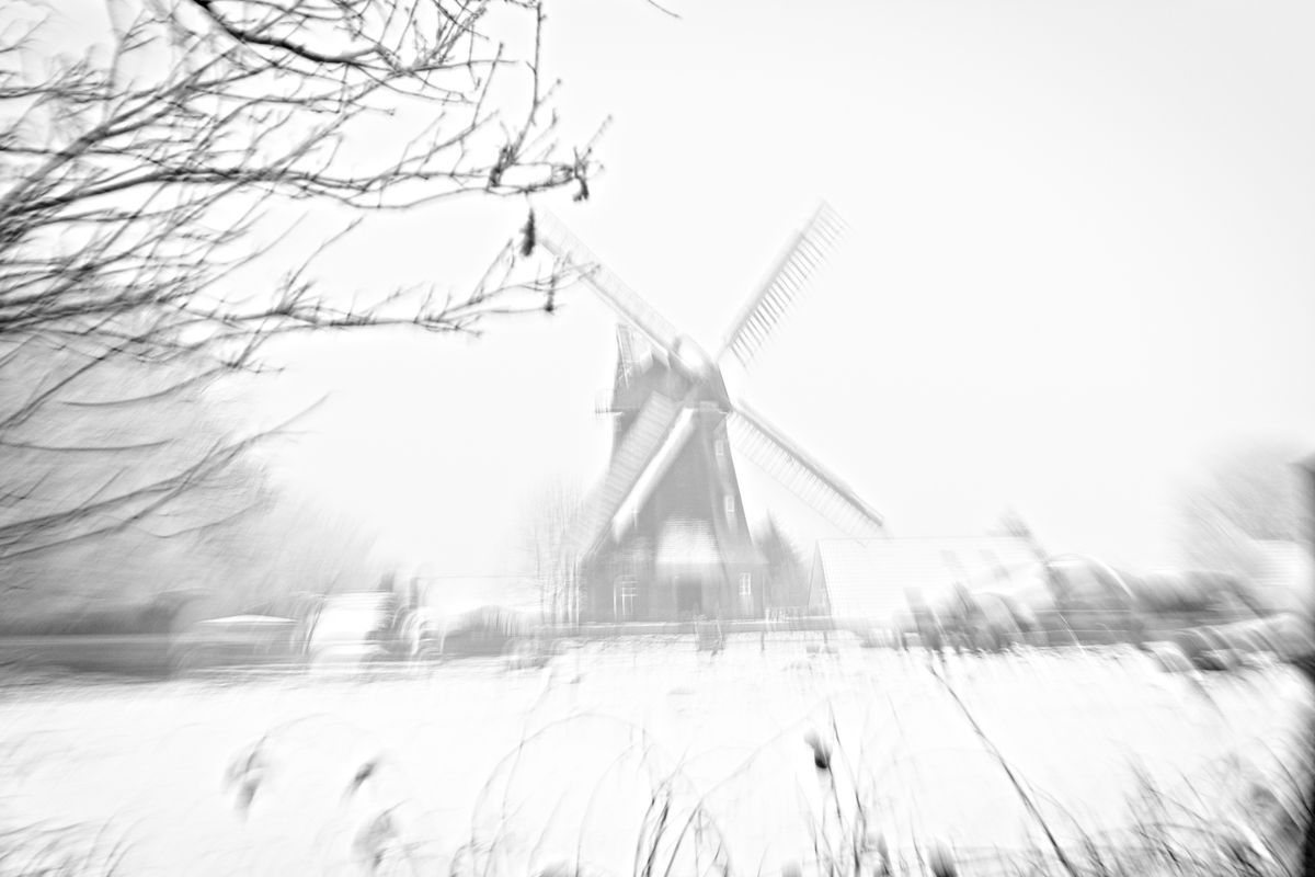 Aktuelle Bilder von Holger