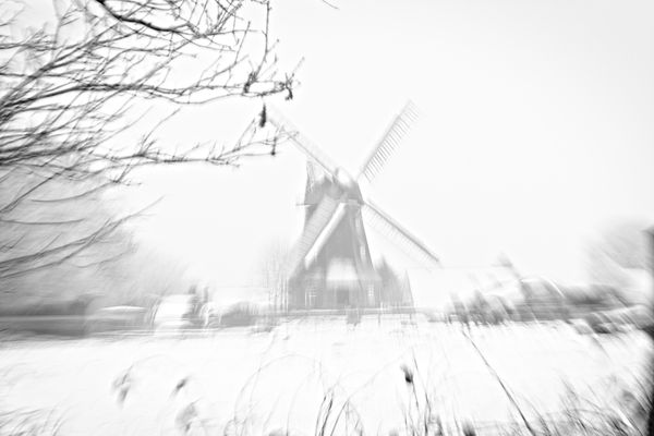 Aktuelle Bilder von Holger